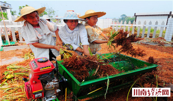 泸州人家红高粱,泸州红高粱38度价格