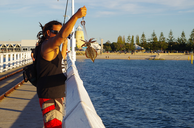 珀斯最孤独的城市,为什么珀斯是最孤独的城市