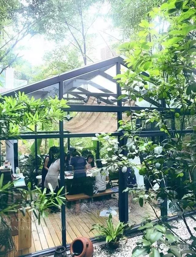 不靠谱夫妇,不靠谱夫妇小说