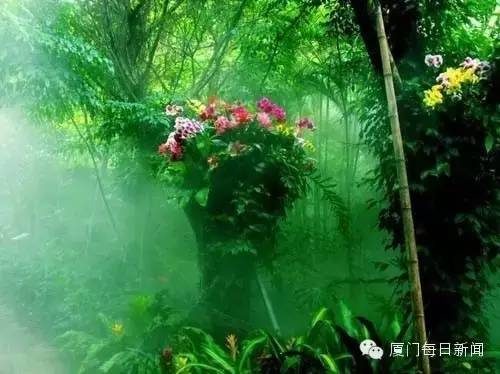 厦门适合野外烧烤的地方,厦门下雨天自己烧烤好去处