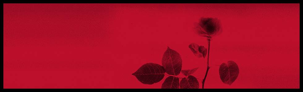 2018米兰时装周春夏gucci,2018米兰时装周gucci