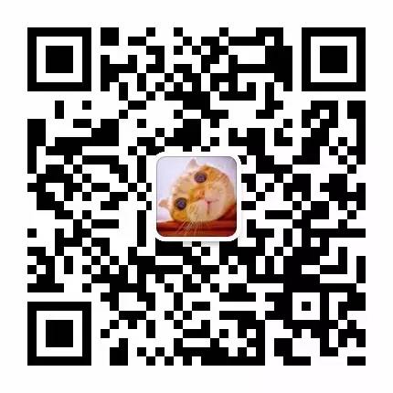 蝉鸣的夏天我想遇见你,蝉鸣的夏季我想遇见你英文