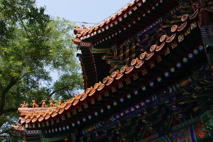 适马sdquattroh值不值得入手,适马sdquattroh配镜头