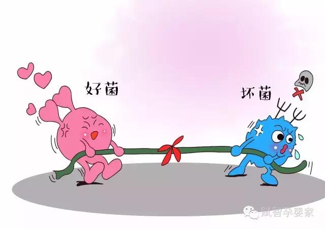 宝宝腹泻湿疹吃哪种益生菌,婴儿湿疹每天也拉大便吃益生菌