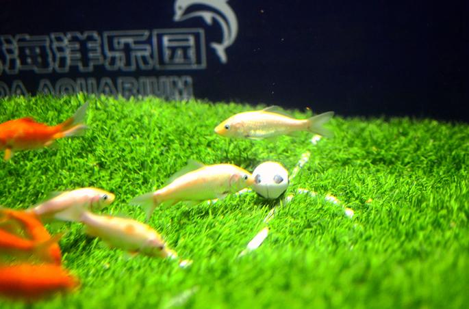 万达南昌海洋馆,南昌万达海洋馆