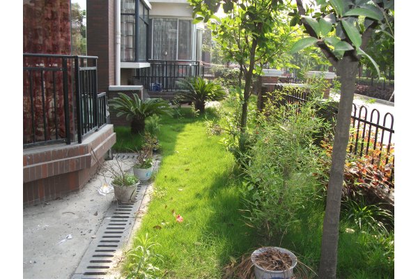 家在住一楼这样防蚊虫，整个夏天都不会被蚊子咬一口！