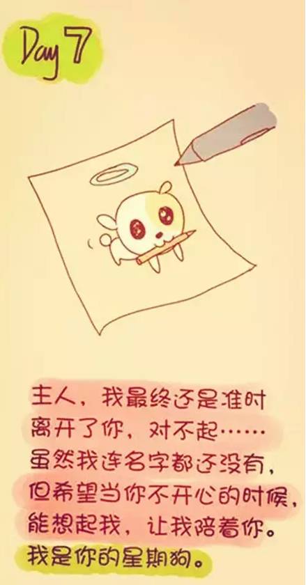 陪伴是最长情的告白你同意吗,陪伴是最长情的告白请勿连赞