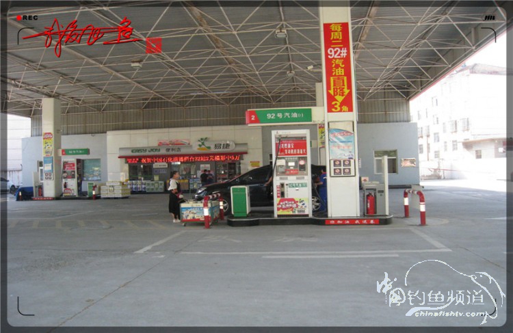 户外野钓小河沟七星鱼,鲫鱼野钓小河沟