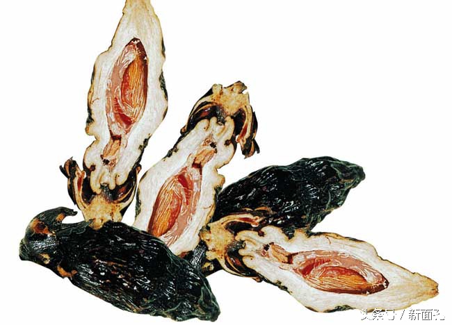 吃多了槟榔会对人体有什么危害,槟榔的危害那么大为什么还要吃呢