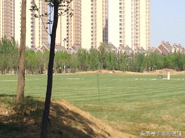 权健基地,天津市权健基地