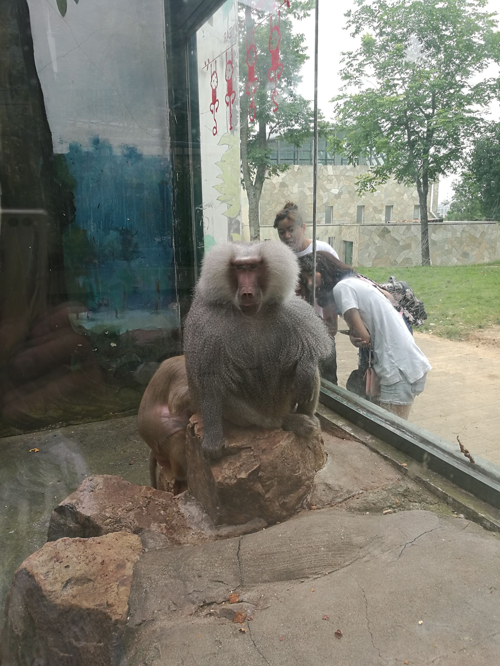 华为p9为什么是麒麟955,华为p9麒麟955芯片价格