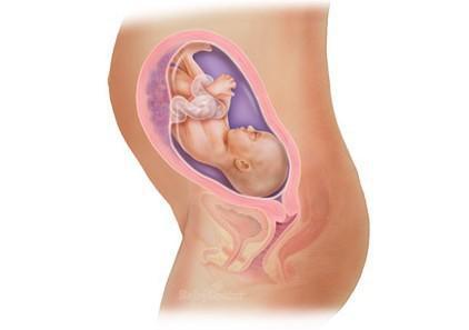 惊奇宝宝第一季,怀孕过程中的十大惊奇发现