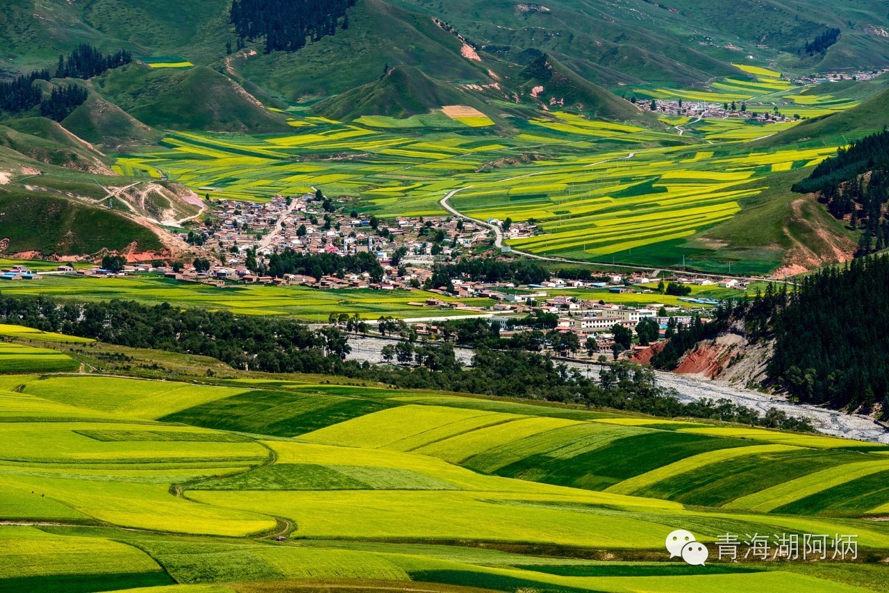 青海湖和沙坡头哪个更值得去,12月青海湖值得去吗