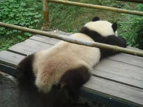 和中国的“救命仙丹”比起来,这些国家的防中暑高招都弱爆了!