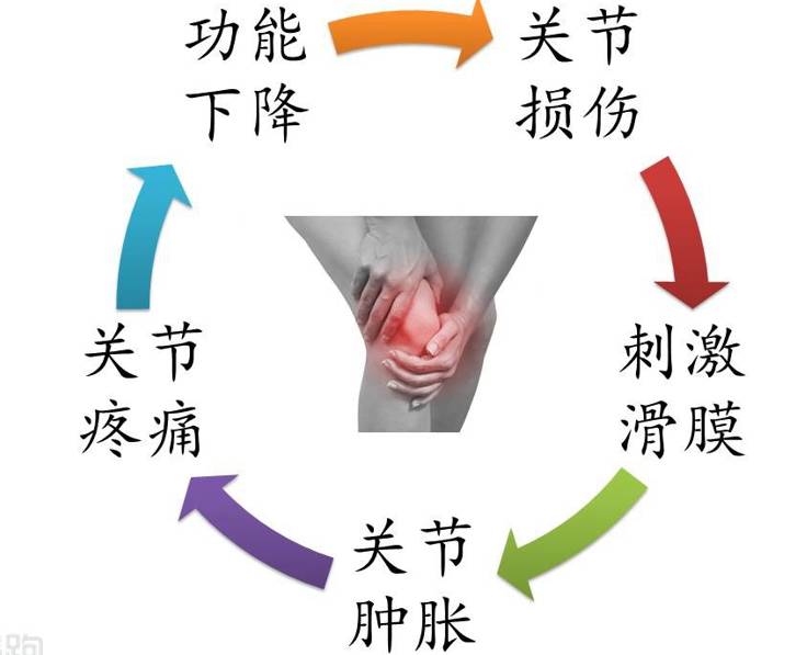 膝关节有积液怎么办吃什么药,膝关节腔及髌上囊积液