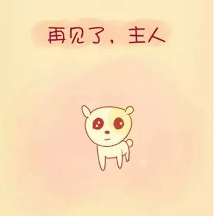 陪伴是最长情的告白你同意吗,陪伴是最长情的告白请勿连赞