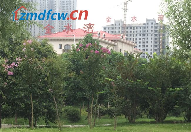 小丫看房记尚城银座完整版,小丫看房