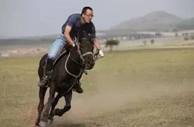 企业界举办奥运，大佬们会使出“洪荒之力”参加哪些项目