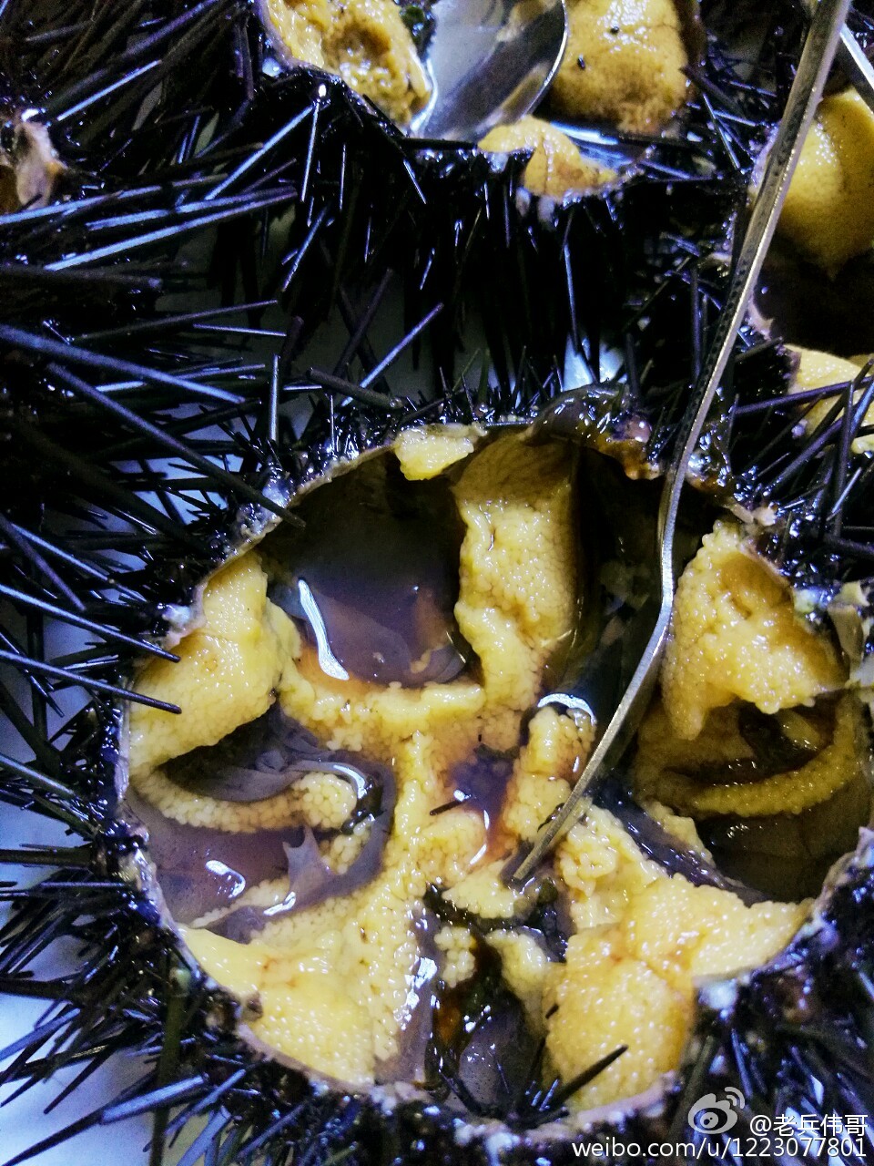 大连旅顺口好吗,旅顺值得住一晚吗