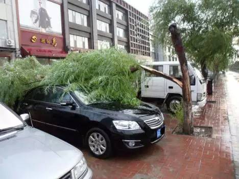 对付乱停车者的绝招,怎么对付乱停车的人