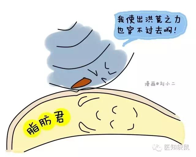 普通b超和肾b超检查范围一样吗,B超三维彩超区别