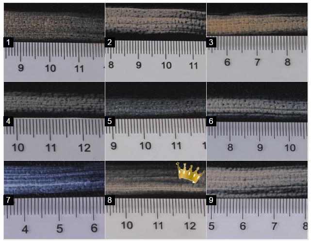 学生党推荐哪款cc霜,排名前十位的cc霜