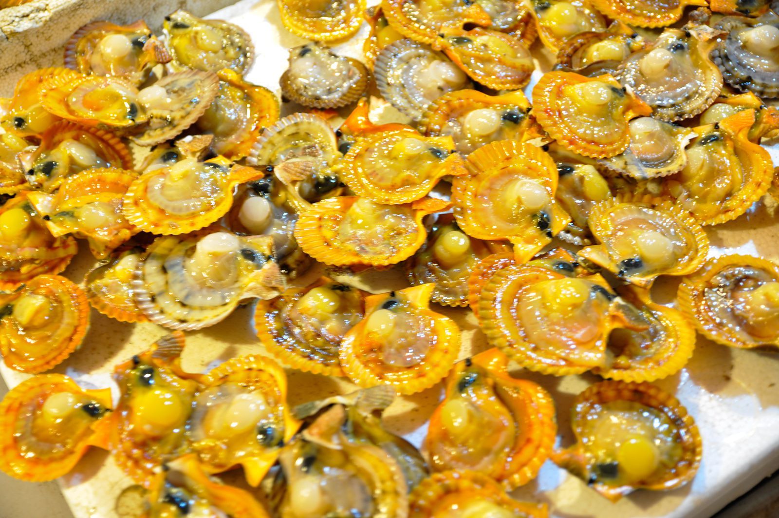 江阳闸坡港,江阳区旅游线路图