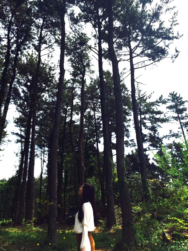 济州岛旅游攻略地图高清,济州岛旅游攻略图片三日游8月