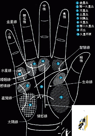 看手相真能看出命理吗,风水命理看手相准吗女人
