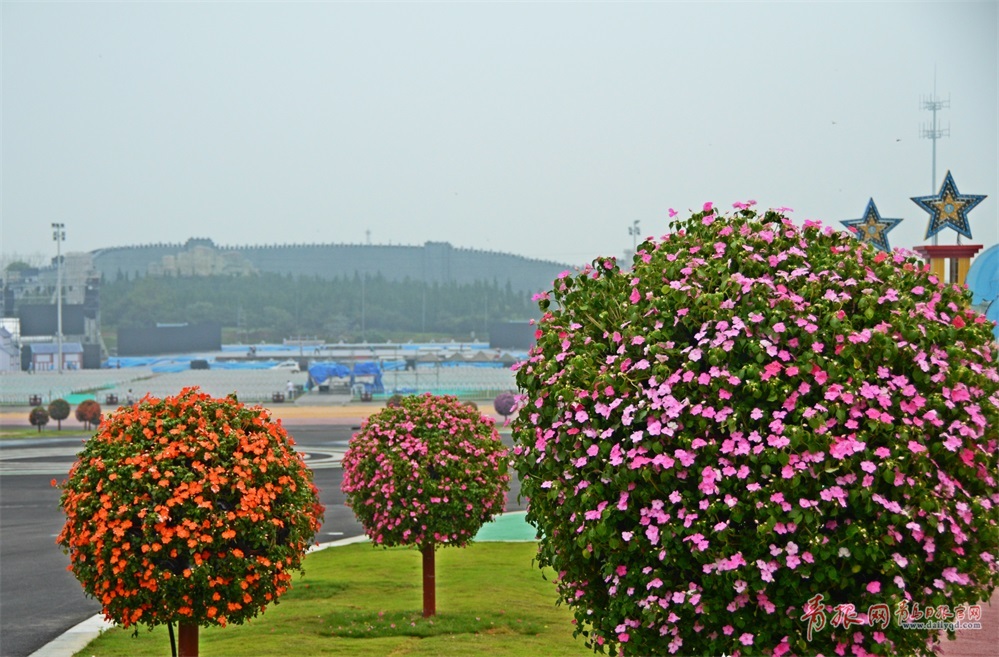 黄岛啤酒节无人机表演是几点,啤酒节2022黄岛啤酒节