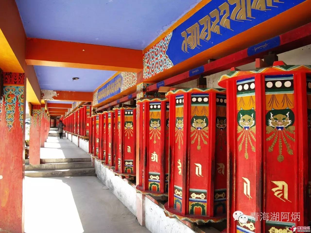 青海湖和沙坡头哪个更值得去,12月青海湖值得去吗