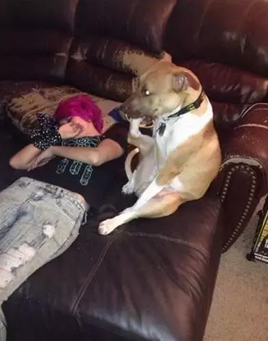 傻汪一言不合就啃脚没病可好，啃出病该怎么办？