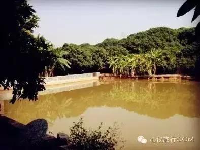 南宁周边十大农家乐,南宁周边摘果农家乐