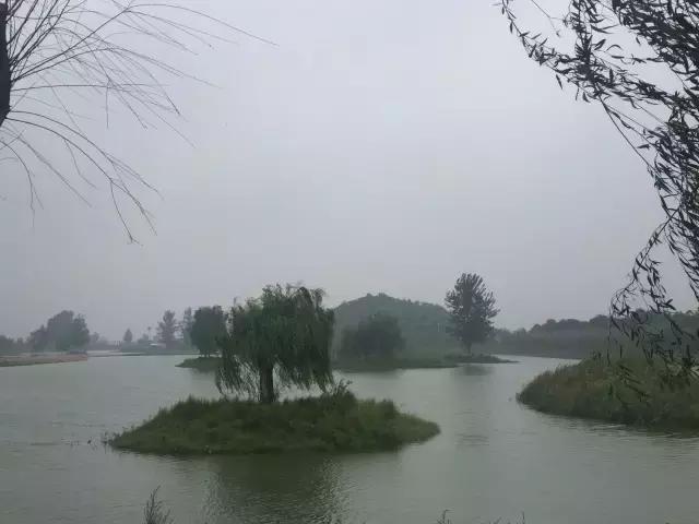 南乐西邵荷花池,南乐县西邵乡荷花池