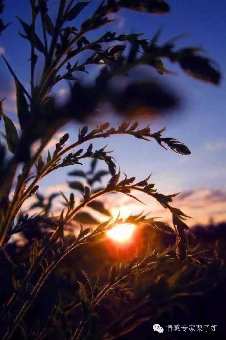 老公给外面女人充话费,老公给外面的女人充话费