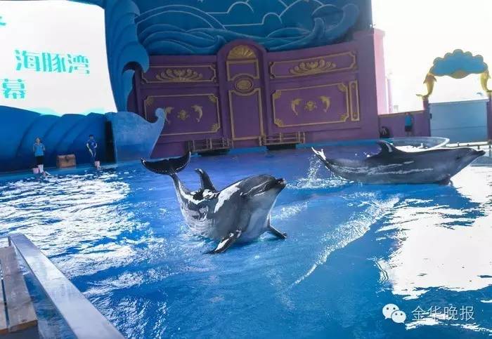 金华人的傲娇：快来测测你的身价值多少，小编邀你免费游横店