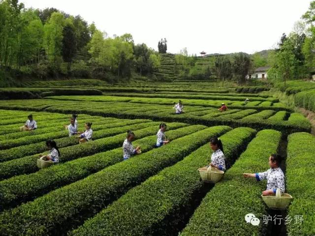 琛屾憚姹変腑,琛屾憚闄曡タ