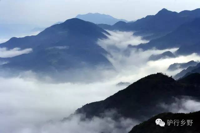 琛屾憚姹変腑,琛屾憚闄曡タ