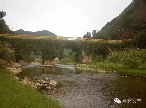 大墅介绍,大墅简介