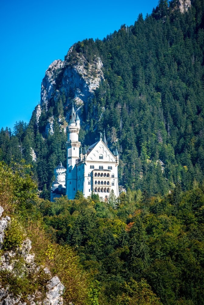 伪摄影师与真正的摄影师,伪摄影师