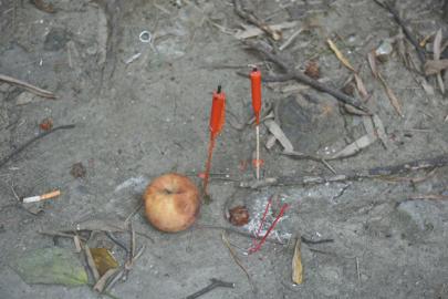 烧纸祭逝者余烬引燃车？