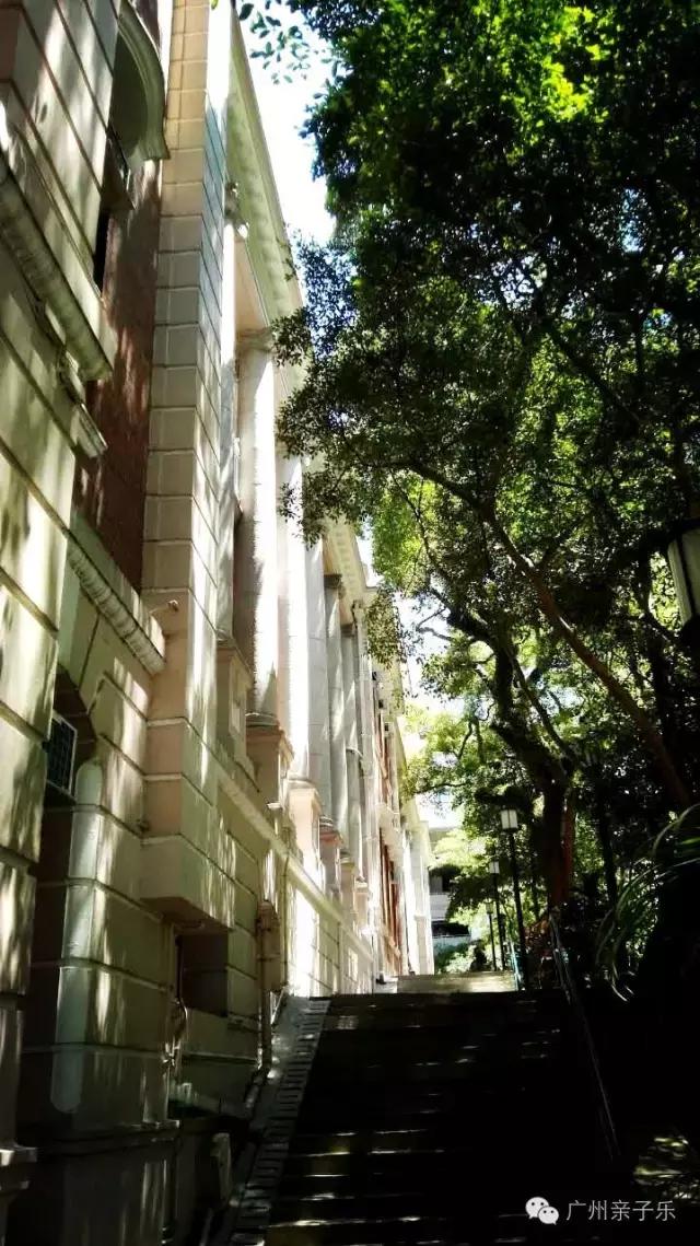 去香港去哪些地方购物,去香港旅游购物哪里好一点