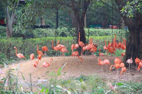 广州长隆怎么玩最划算旅游攻略,广州长隆怎样玩好玩