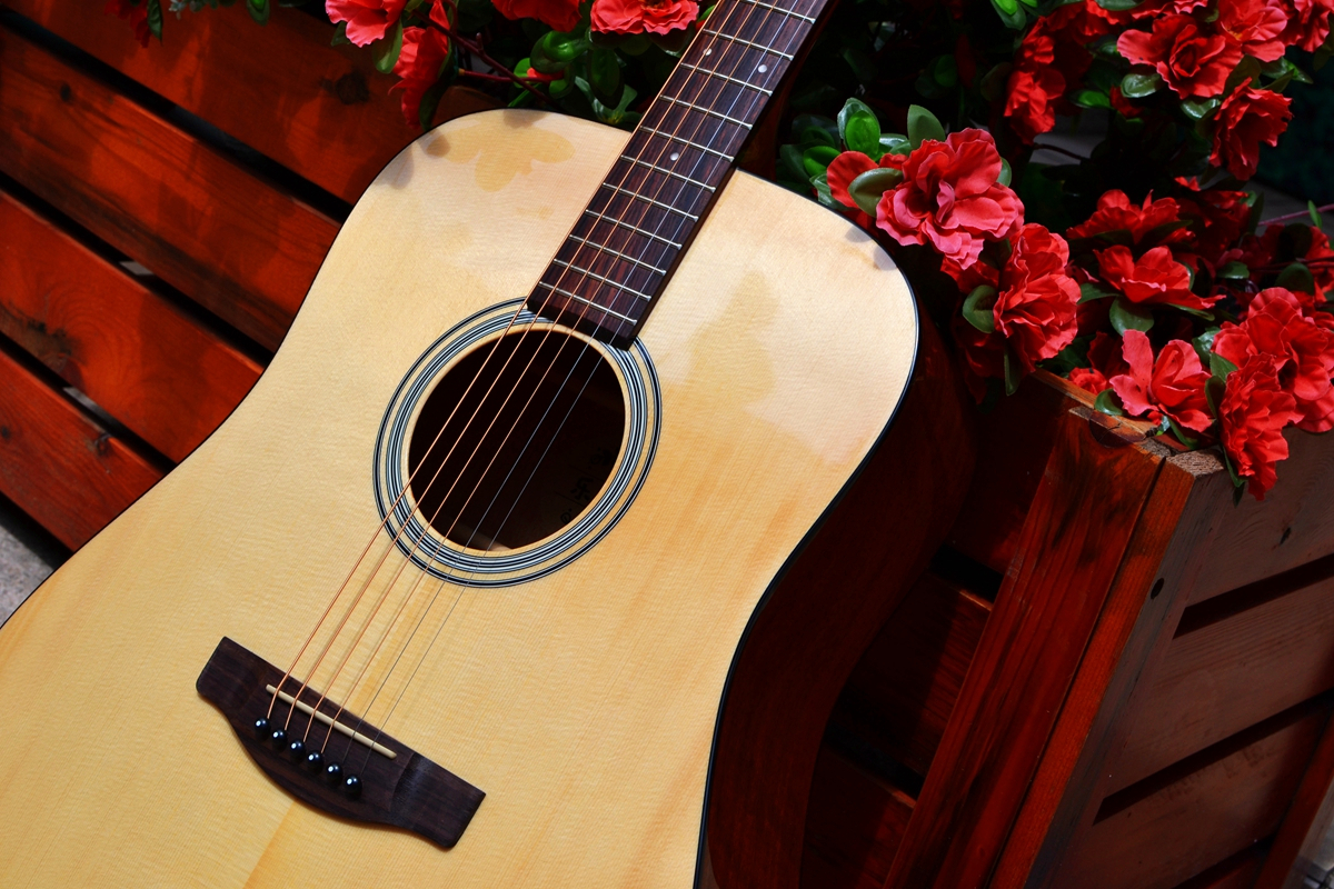 有声有色，久弹不累：乐果D10，吉他初学者的明智之选