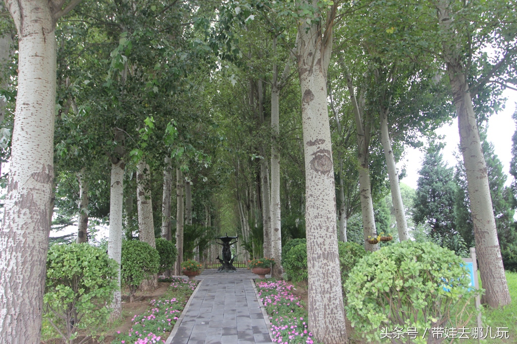 昌平拉斐特城堡酒店房间,昌平拉斐特城堡