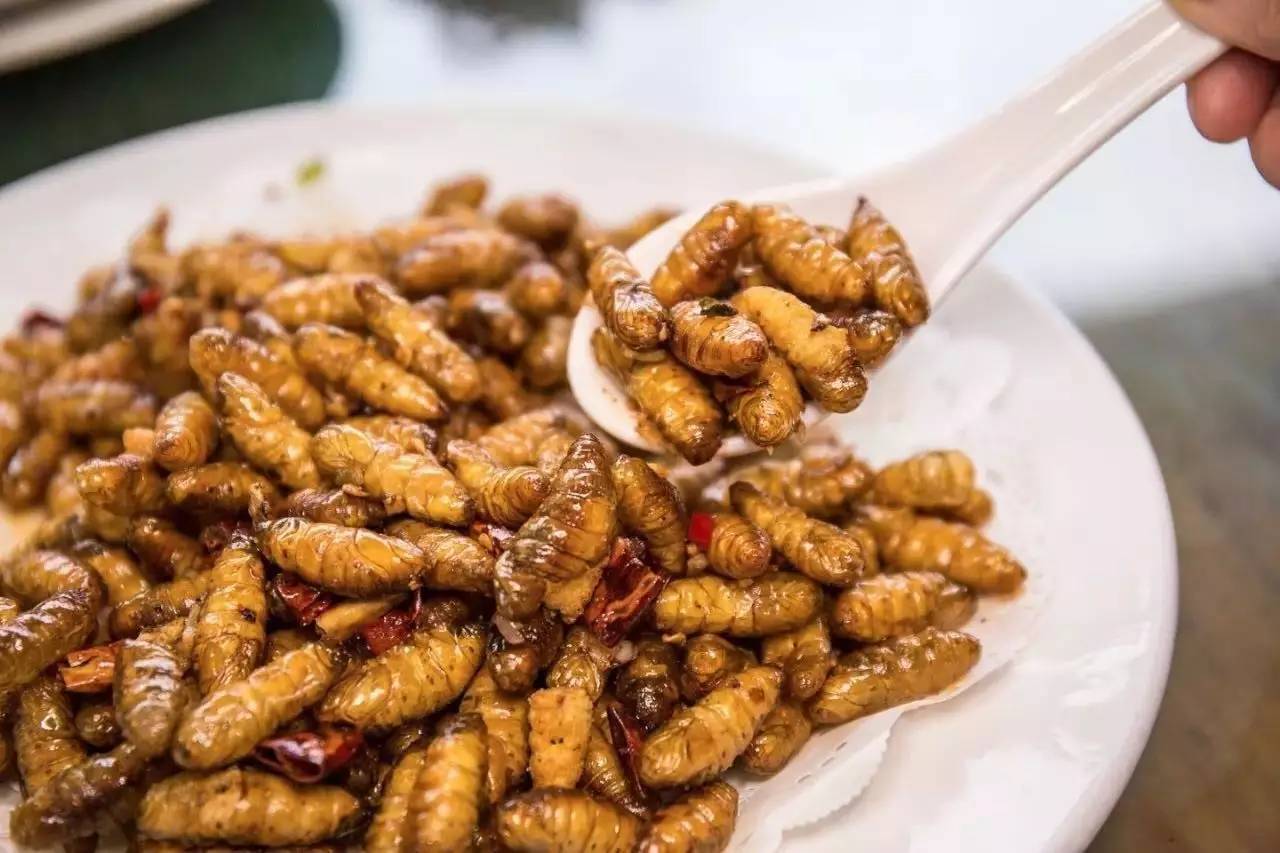 唔使搵啦！人均40元连电视台著名主持人都Hold唔住过来搵食