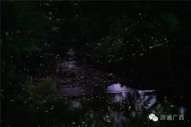 广西乐业出现神秘萤火之光，堪比美国大片！
