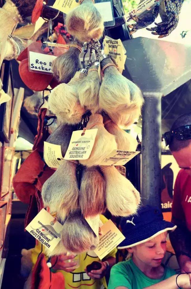 澳洲伴手礼推荐,去澳洲买什么伴手礼