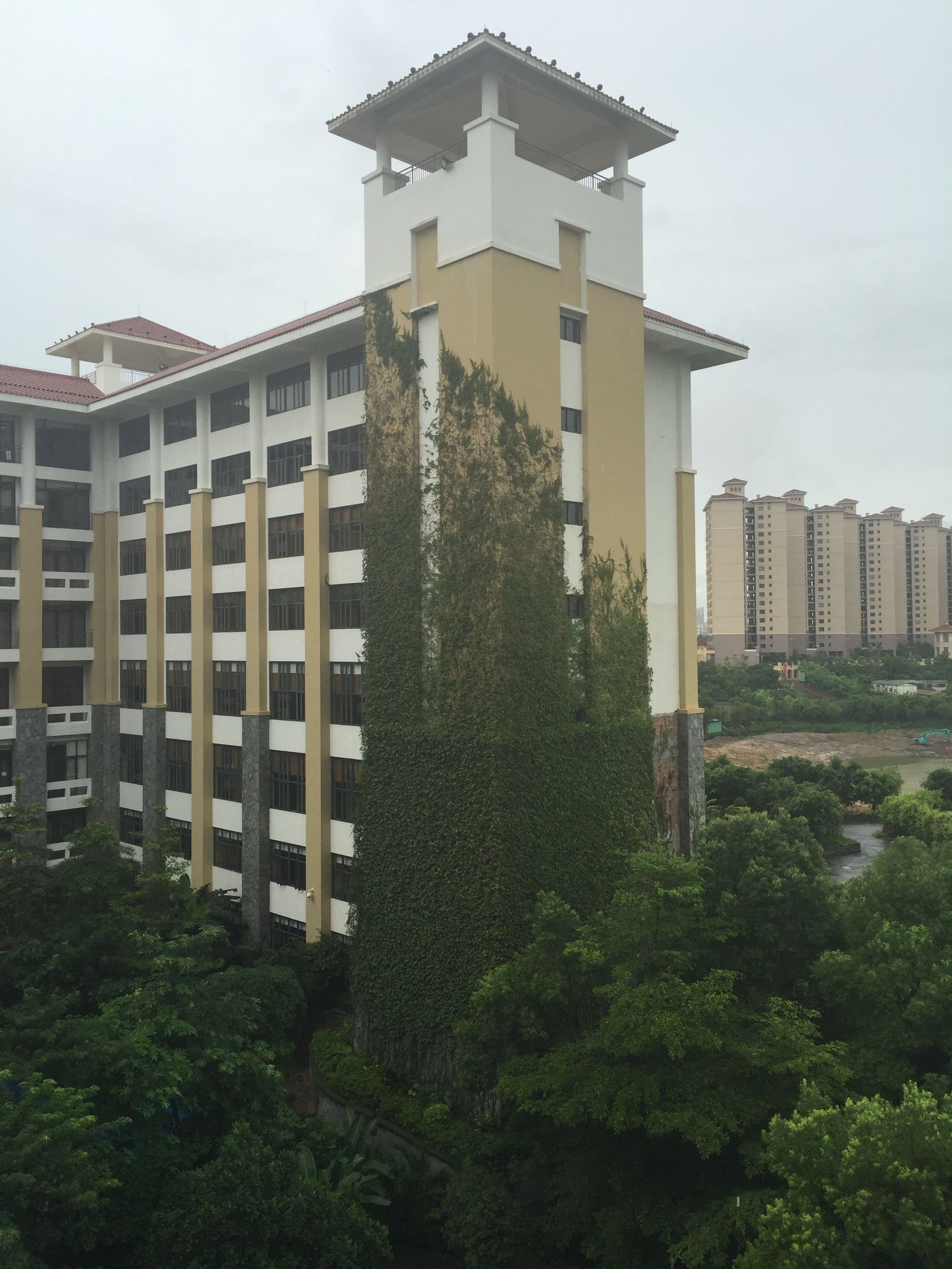 雷州樟树湾大酒店价格,雷州樟树湾大酒店有特大饭桌吗