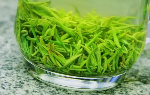 七大美女齐聚信阳！看看她们都是谁?